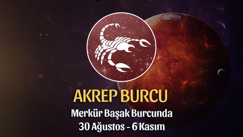 Akrep Burcu Merkür Transiti Burç Yorumu