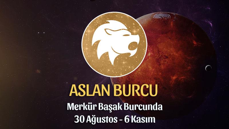 Aslan Burcu Merkür Transiti Burç Yorumu