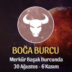 Boğa Burcu Merkür Transiti Burç Yorumu