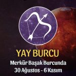 Yay Burcu Merkür Transiti Burç Yorumu