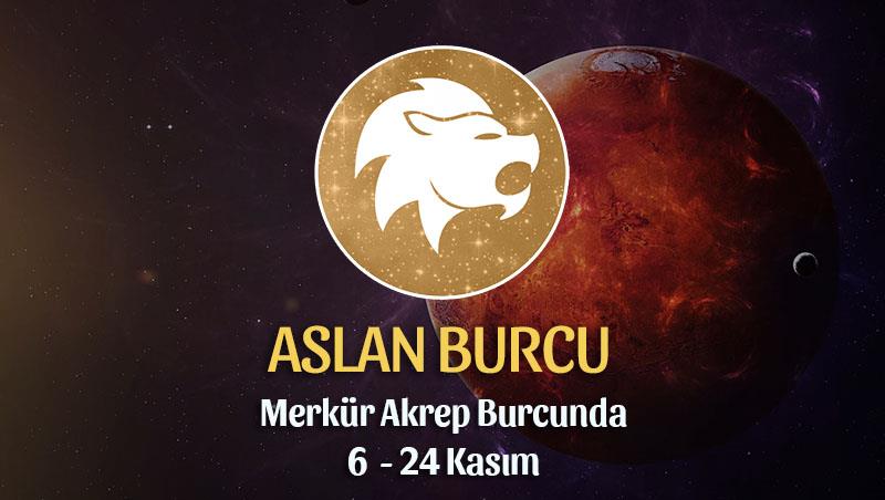 Aslan Burcu - Merkür Transiti Burç Yorumu