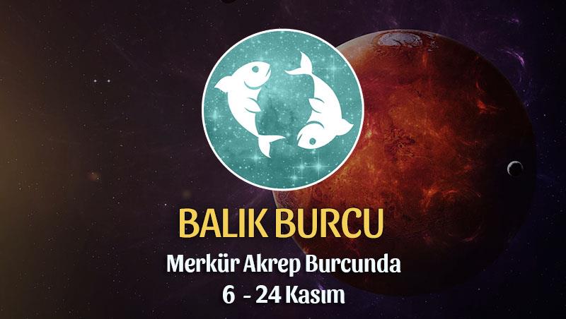 Balık Burcu - Merkür Transiti Burç Yorumu