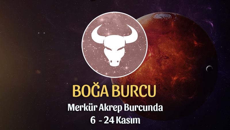 Boğa Burcu - Merkür Transiti Burç Yorumu