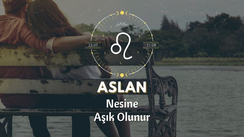 Aslan Burcunun Nesine Aşık Olursun