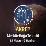 Akrep Burcu - Merkür Boğa Transiti Burç Yorumu