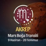 Akrep Burcu - Mars Boğa Transiti Yorumu