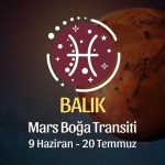 Balık Burcu - Mars Boğa Transiti Yorumu