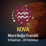 Kova Burcu - Mars Boğa Transiti Yorumu