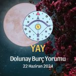 Yay Burcu - Dolunay Burç Yorumu 22 Haziran 2024