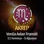 Akrep Burcu, Venüs Aslan Transiti Yorumu 11 Temmuz - 5 Ağustos