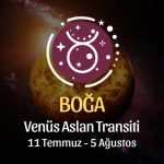 Boğa Burcu, Venüs Aslan Transiti Yorumu 11 Temmuz - 5 Ağustos