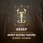 Akrep Burcu: Akrep Sezonu Yorumu, 22 Ekim - 21 Kasım 2024