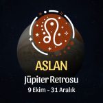 Aslan Burcu: Jüpiter Retrosu Burç Yorumu, 9 Ekim - 31 Aralık