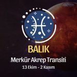 Balık Burcu: Merkür Akrep Transiti Yorumu, 13 Ekim 2024