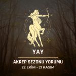 Yay Burcu: Akrep Sezonu Yorumu, 22 Ekim - 21 Kasım 2024