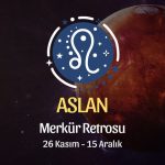 Aslan Burcu: Merkür Retrosu, 26 Kasım - 15 Aralık