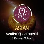 Aslan Burcu: Venüs Oğlak Transiti Yorumu - 11 Kasım 2024