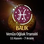 Balık Burcu: Venüs Oğlak Transiti Yorumu - 11 Kasım 2024