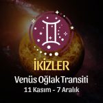 İkizler Burcu: Venüs Oğlak Transiti Yorumu - 11 Kasım 2024