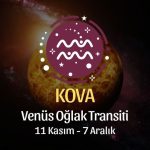 Kova Burcu: Venüs Oğlak Transiti Yorumu - 11 Kasım 2024