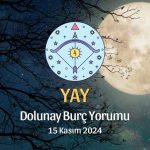 Yay Burcu Dolunay Yorumu - 15 Kasım 2024