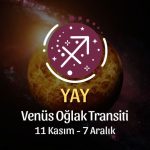 Yay Burcu: Venüs Oğlak Transiti Yorumu - 11 Kasım 2024