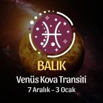 Balık Burcu: Venüs Kova Transiti Yorumu - 7 Aralık 2024