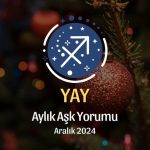 Yay Burcu: Aralık 2024 Aşk Yorumu