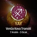 Yay Burcu: Venüs Kova Transiti Yorumu - 7 Aralık 2024