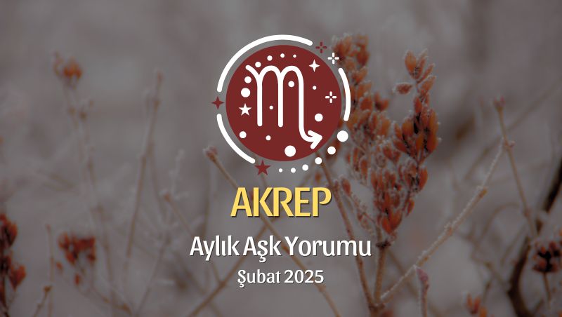 Akrep Burcu Şubat 2025 Aylık Aşk Yorumu