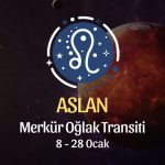 Aslan Burcu: Merkür Oğlak Transiti - 8 Ocak 2025