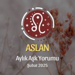 Aslan Burcu Şubat 2025 Aylık Aşk Yorumu