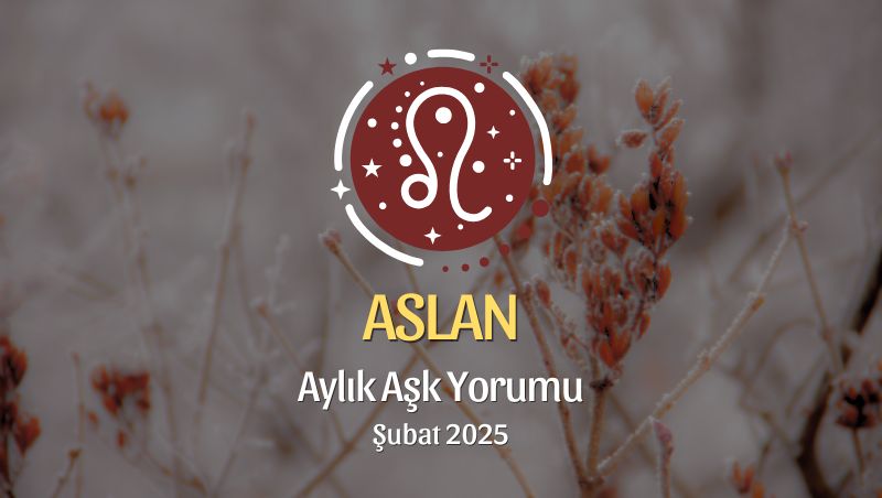 Aslan Burcu Şubat 2025 Aylık Aşk Yorumu