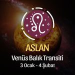 Aslan Burcu: Venüs Balık Transiti Yorumu - 3 Ocak 2025