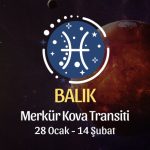 Balık Burcu: Merkür Kova Transiti, 28 Ocak - 14 Şubat