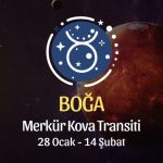 Boğa Burcu: Merkür Kova Transiti, 28 Ocak - 14 Şubat