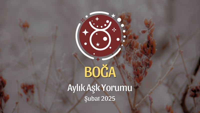 Boğa Burcu Şubat 2025 Aylık Aşk Yorumu