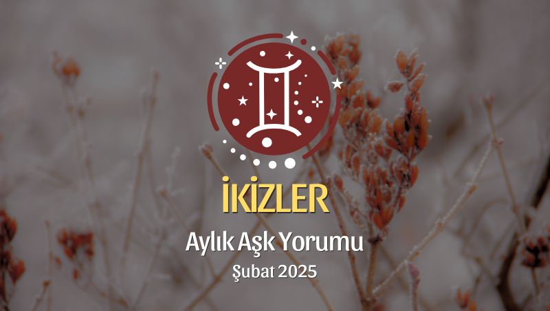 İkizler Burcu Şubat 2025 Aylık Aşk Yorumu