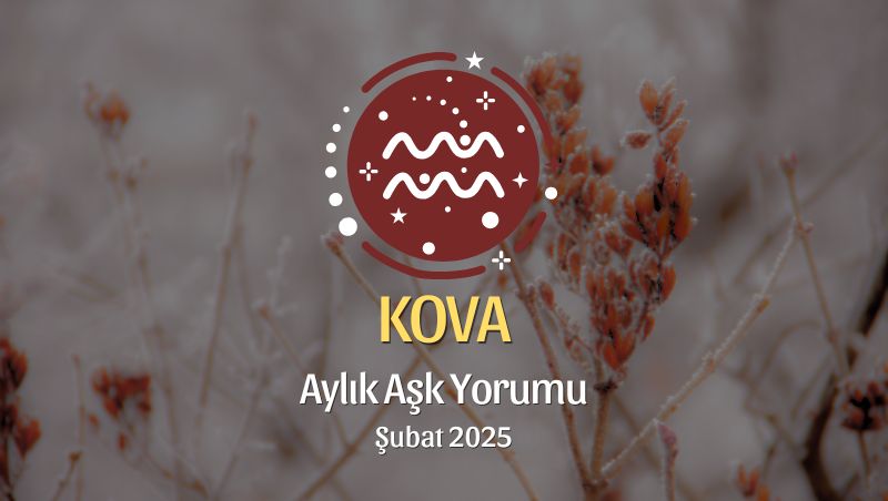 Kova Burcu Şubat 2025 Aylık Aşk Yorumu