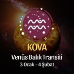 Kova Burcu: Venüs Balık Transiti Yorumu - 3 Ocak 2025