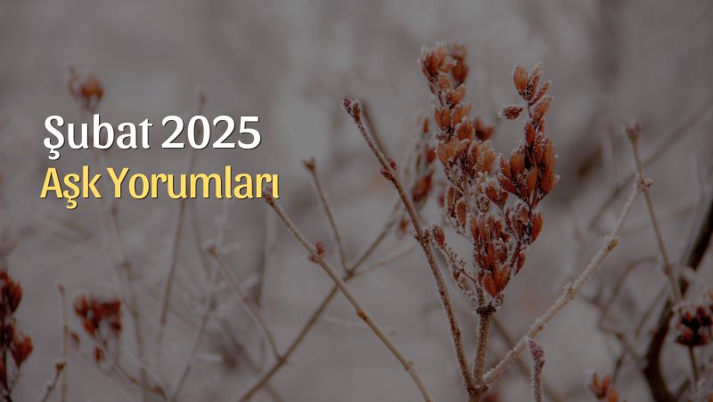 Şubat 2025 Aylık Aşk Yorumları