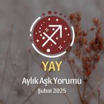 Yay Burcu Şubat 2025 Aylık Aşk Yorumu