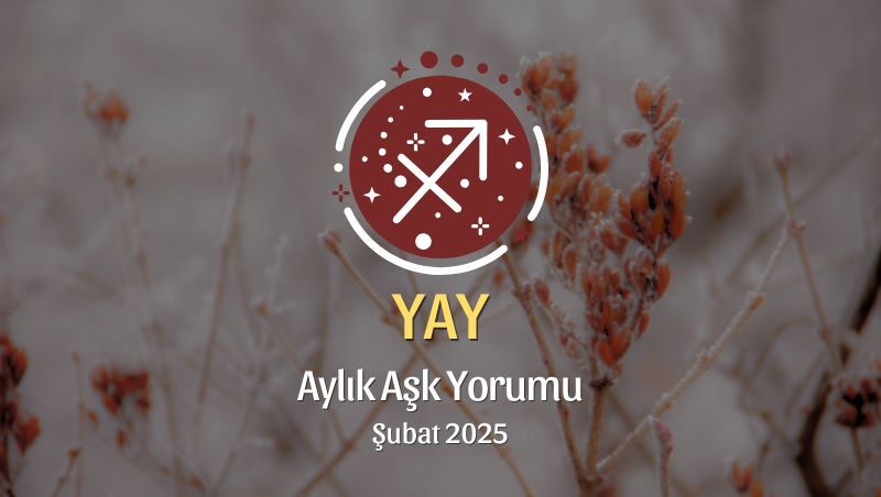 Yay Burcu Şubat 2025 Aylık Aşk Yorumu