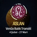 Aslan Burcu: Venüs Koç Transiti Yorumu, 4 Şubat - 27 Mart