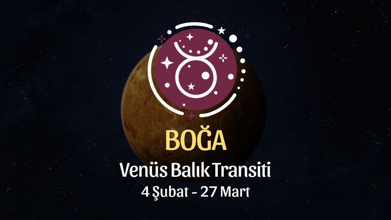 Boğa Burcu: Venüs Koç Transiti Yorumu, 4 Şubat - 27 Mart