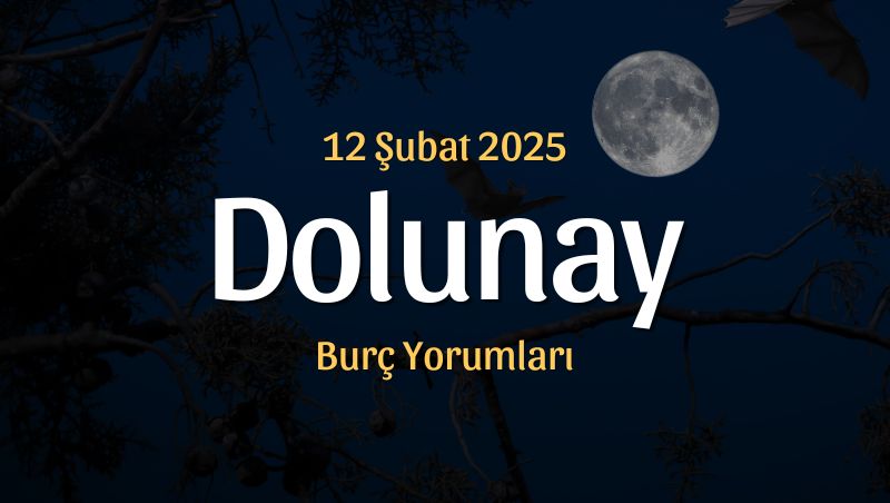 Aslan Burcunda Dolunay Burç Yorumları – 12 Şubat 2025