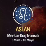 Aslan Burcu: Merkür Koç Transiti Yorumu - 3 Mart, 2025