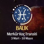 Balık Burcu: Merkür Koç Transiti Yorumu - 3 Mart, 2025