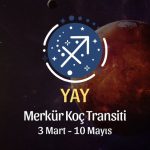 Yay Burcu: Merkür Koç Transiti Yorumu - 3 Mart, 2025